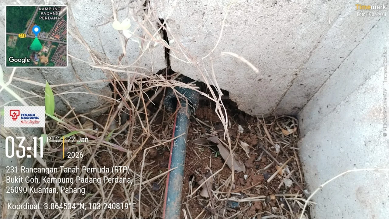 UMAP Activity - umap (9)